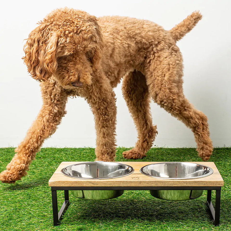 Wood & Metal Elevated Pet Feeder